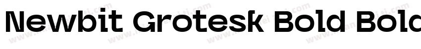 Newbit Grotesk Bold Bold字体转换
